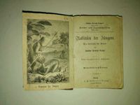 Robinson der Jüngere Hans Heinrich Campe Gebhardt's Verlag 1900 Sachsen-Anhalt - Luso Vorschau