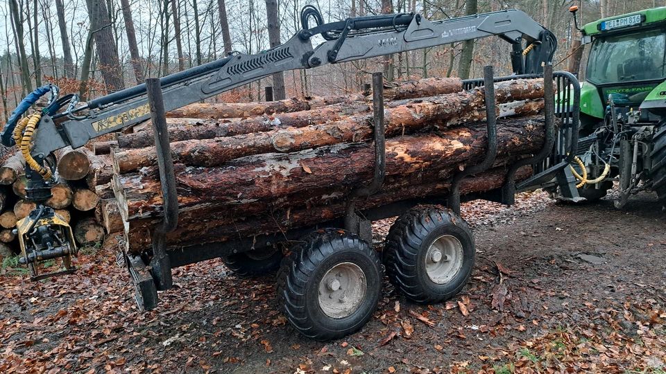 ❗️❗️Brennholz Feuerholz Kaminholz Kiefer Buche ❗️❗️ in Dresden