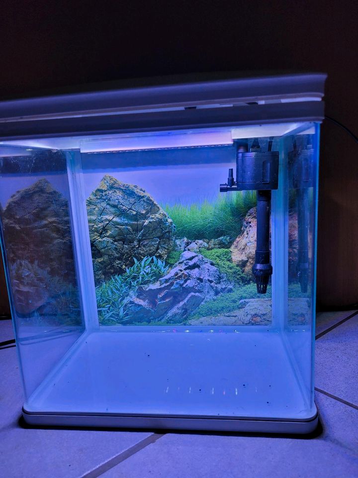 Nano cube ca 14 Liter in Kirchenthumbach