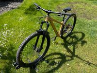 MTB Orbea Lauffey H30 S Bayern - Schwarzenbruck Vorschau