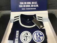 Schalke04—Düsseldorf Laola Karten gegen 120 Jahre Sondertrikot Nordrhein-Westfalen - Mülheim (Ruhr) Vorschau