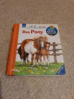 Das Pony (Wieso, Weshalb, Warum) Nordrhein-Westfalen - Niederkrüchten Vorschau