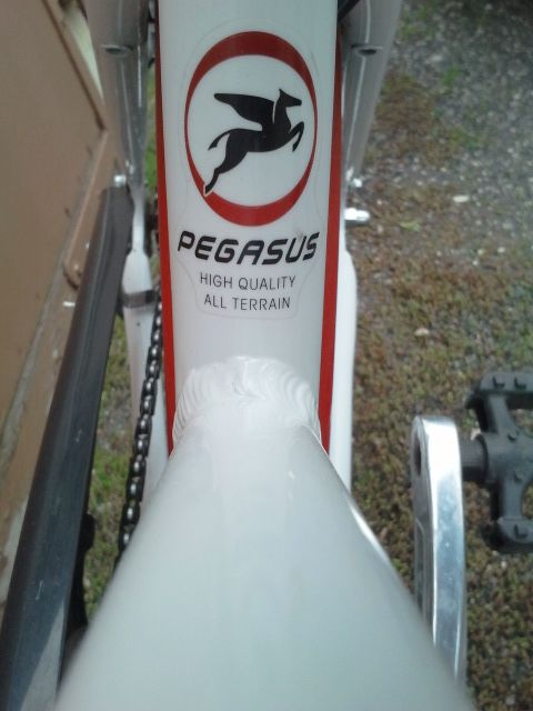 Kinderfahrrad Pegasus 26 kleiner Rahmen ab ca. 8 Jahre Fahrrad in Parthenstein (bei Grimma)