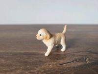 Schleich 16396 Golden Retriever Welpe Farm World Altona - Hamburg Rissen Vorschau