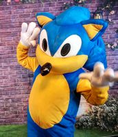 Sonic the Hedgehog Maskottchen Kostüm Geburtstag Fasching Igel Berlin - Steglitz Vorschau