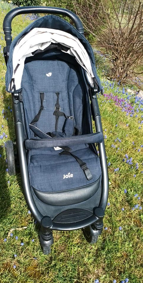 Joie mytrax Kinderwagen Buggy in Pegnitz