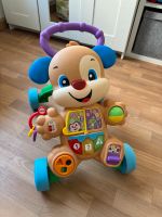 Lauf-Lern-Wagen von Fisher-Price Dresden - Strehlen Vorschau