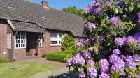 Resthof / Landhaus in Ostfriesland, Weide, Pferdehaltung - Küste Niedersachsen - Westerholt Vorschau