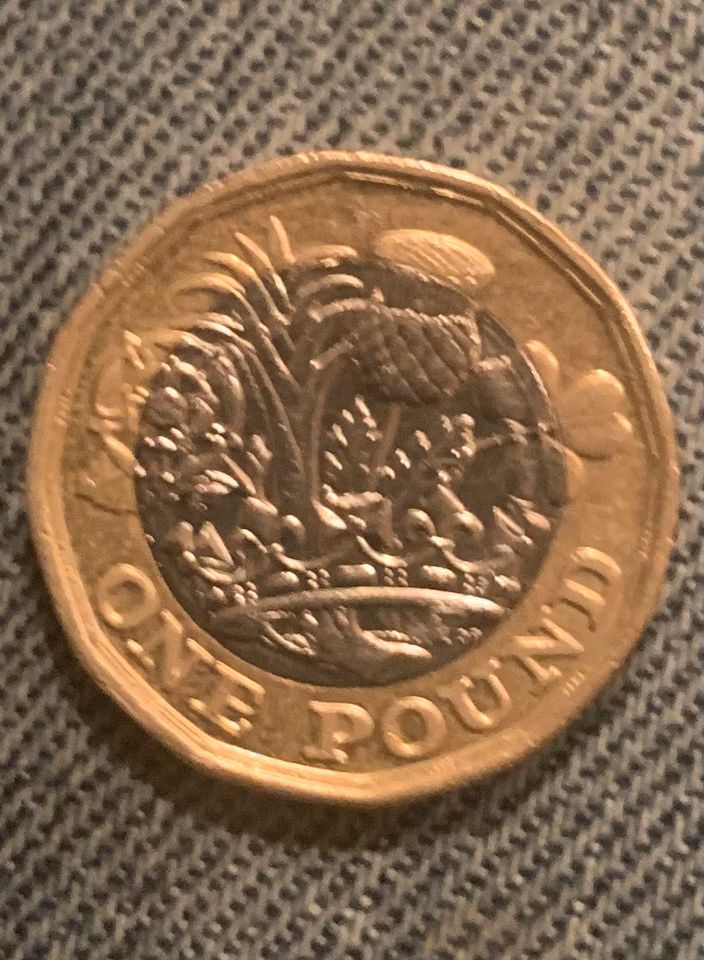 One Pound Münze selten von 2017 in Doberschau