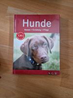 Buch Hunde und Buch Katzen Rassen, Erziehung, Pflege München - Laim Vorschau