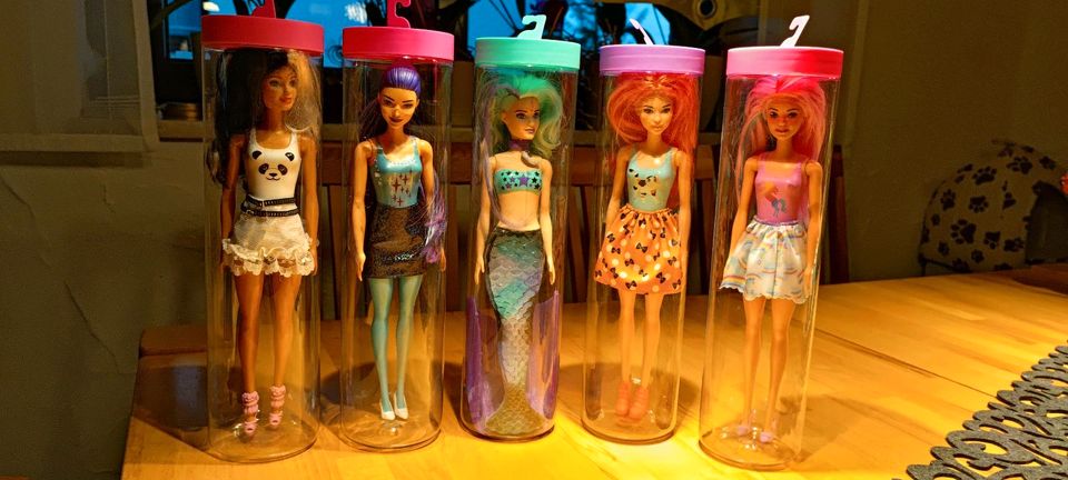 Barbiepuppe color Reval in Neuhaus-Schierschnitz