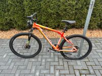 26er Spezialzed Mountainbike Sachsen - Schildau Vorschau