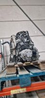 Nissan Primera 2.0L  16V Motor mit getriebe Köln - Pesch Vorschau