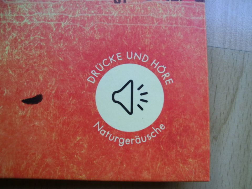 In der SAVANNE Klanggeschichten Buch in Düsseldorf