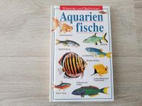 Aquarienfische Erkennen und Bestimmen • Buch Aquarium Niedersachsen - Barsinghausen Vorschau