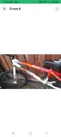 Avigo Extreme Freestyle AX 2000 BMX Bike Nordrhein-Westfalen - Plettenberg Vorschau