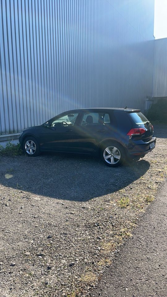 Golf 7 DSG in Meersburg