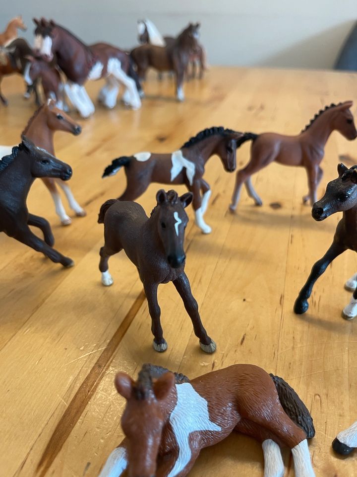 Schleich Fohlen Pferde in Düren