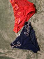 Hunkemöller Slip's 2 Stück Größe L Neu Leipzig - Großzschocher Vorschau