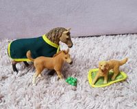 *neuwertiges* Schleich Set, Fohlen, Stute, Hund, braun Sachsen-Anhalt - Queis Vorschau