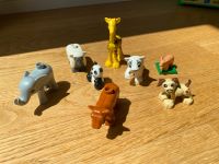 Lego Duplo Tiere Hessen - Wiesbaden Vorschau