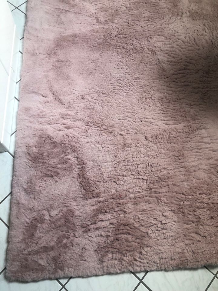 Teppich rosa in Bad Lauchstädt