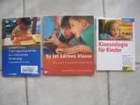 Training schulische Förderung Lernen Kinesiologie GU Kinder Endre Baden-Württemberg - Ispringen Vorschau