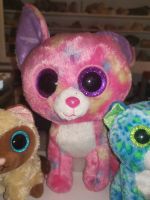 TY Beanie Boos Katze bunt Chihuahua Hund blau Stofftier 30cm Bayern - Creußen Vorschau