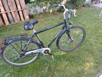 Fahrrad Herren Herrenfahrrad 28 Zoll Pegasus Schleswig-Holstein - Eggebek Vorschau