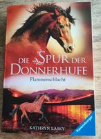 Die Spuren der Donner Hufe von Ravensburger Buch Bayern - Rechtenbach Vorschau