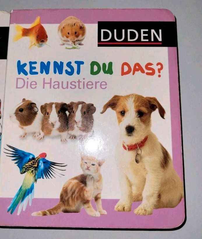 Kinderbuch von DUDEN in Bentzin