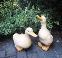 Tonfiguren Garten Wintergarten Entenpärchen Enten Paar Nordrhein-Westfalen - Gronau (Westfalen) Vorschau