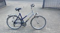 Damenfahrrad GIANT silber/blau RH 57cm Frankfurt am Main - Eschersheim Vorschau