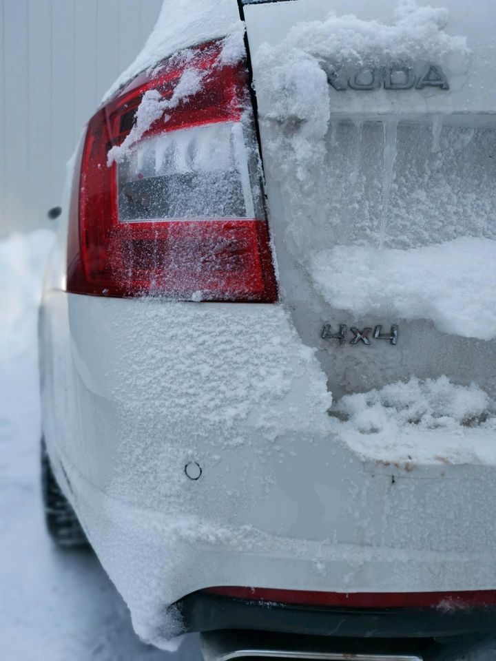 Škoda Octavia RS in Wilkau-Haßlau