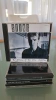 Sting CD Sammlung Kr. München - Feldkirchen Vorschau