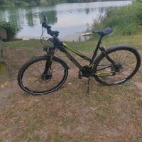 Bergamont Helix 5.3 Fahrrad unisex Rheinland-Pfalz - Waldsee Vorschau