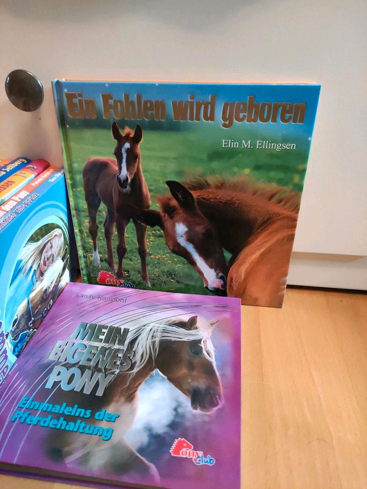 Pferde / Pony Bücher only Club in München
