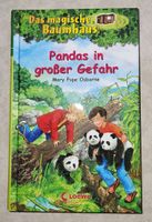 Das magische Baumhaus - Pandas in großer Gefahr (Band 46) Bayern - Laufen Vorschau