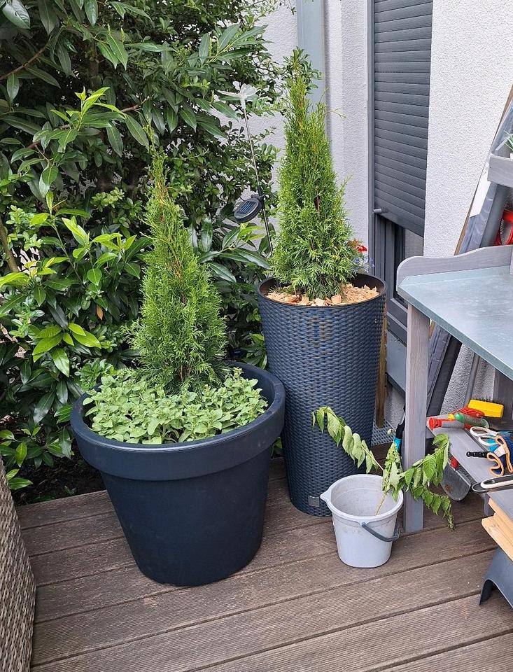 XXL Pflanzkübel, Blumenkasten, Blumentopf Ø 58 cm Top anthrazit in Hannover