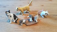 Schleich Waldtiere Haustiere Wassertiere Katzen Hunde Kaninchen Schleswig-Holstein - Bebensee Vorschau