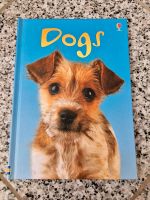 Usborne beginners, Dogs, Alles über Hunde in englischer Sprache Nordrhein-Westfalen - Brüggen Vorschau