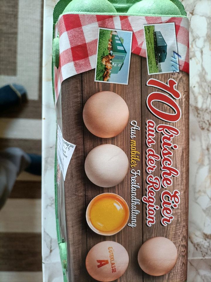 Eier von Hühnern in Bördeland