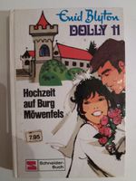 Verkaufe 3 Dolly Bücher von Enid Blyton Niedersachsen - Braunschweig Vorschau