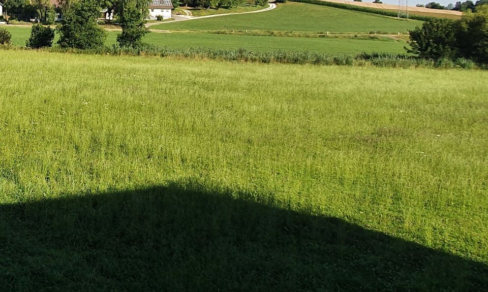 altes renoviertes Bauernhaus/Mehrgenerationenhaus/Pferdehaltung gesunde Luft ...Gemeinde Staig nahe Senden in Staig