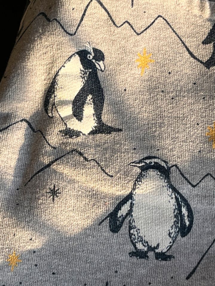 Frugi Sweathose Hose Sweatshirt Pullover Pinguin Grau Gr. 116/122 in Rendsburg