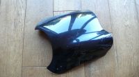 Buell X1 Windschild Nordrhein-Westfalen - Altenberge Vorschau