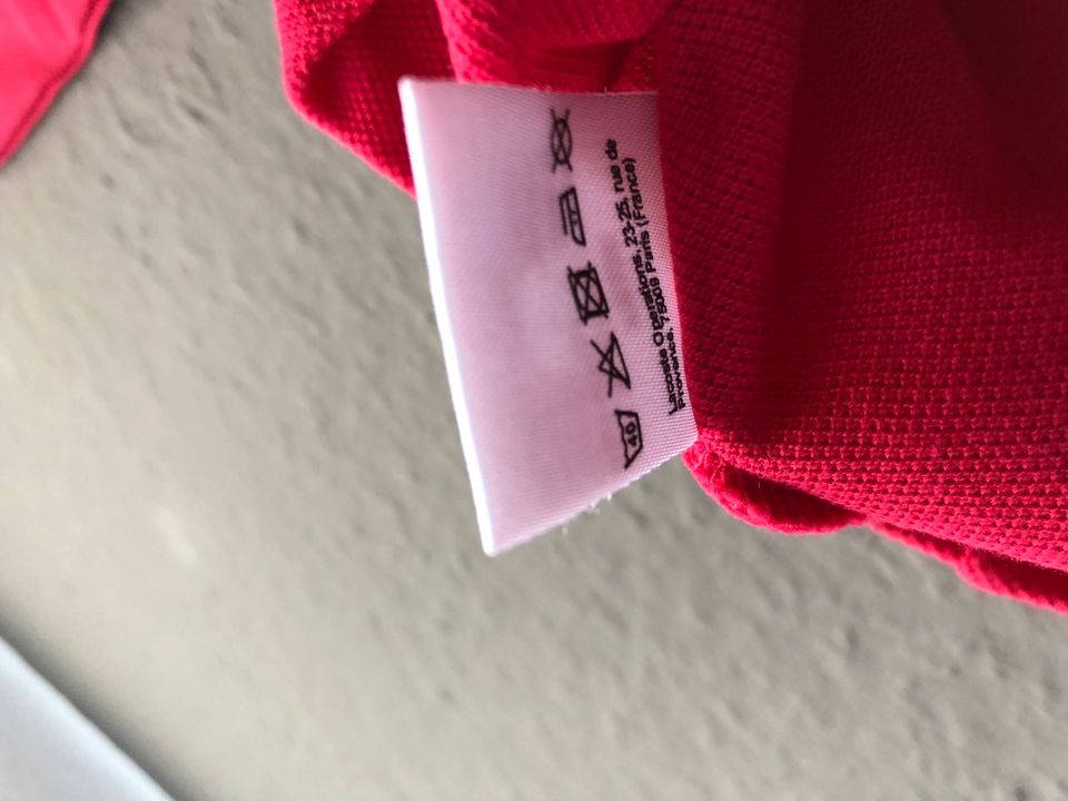 Lacoste Poloshirt in rot in Friedberg (Hessen)