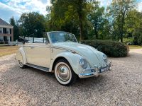 Hochzeitsauto Oldtimer Käfer cabrio 1965 Mieten kevermobiel Niedersachsen - Bad Bentheim Vorschau