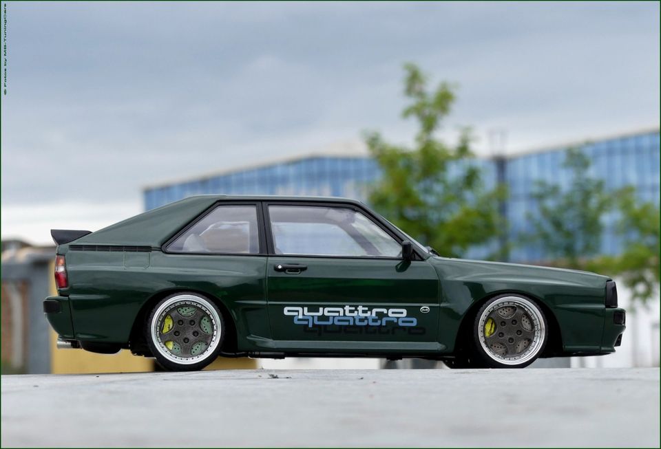 1:18 AUDI SPORT QUATTRO EDITION - Modell-Tuning-Umbau - in Weimar