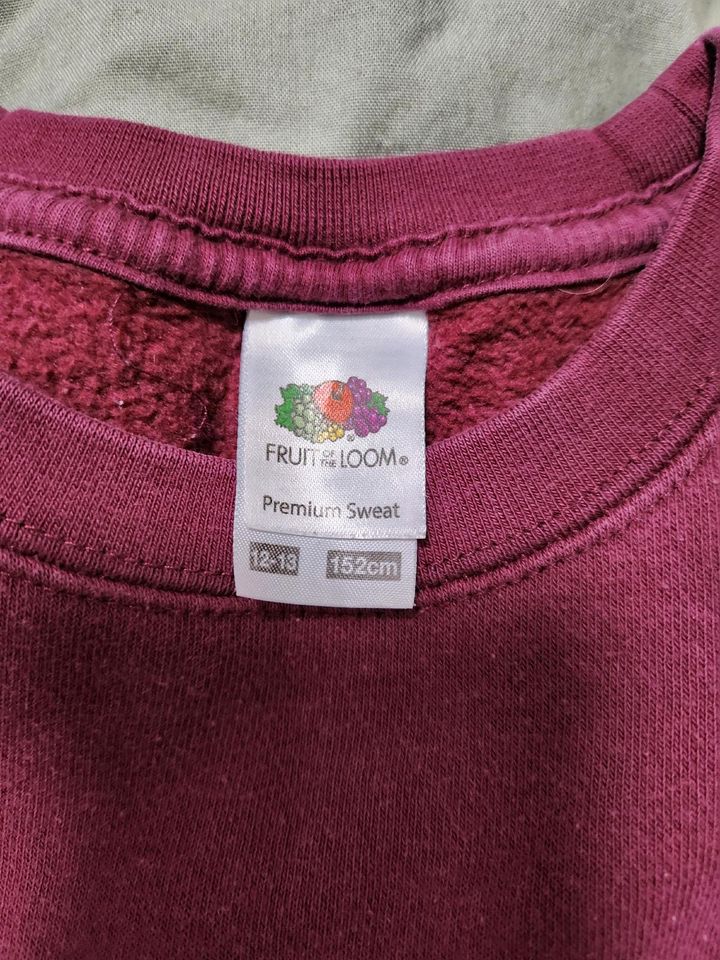 Pullis von Fruit of the loom  Gr 152 in Ihlow